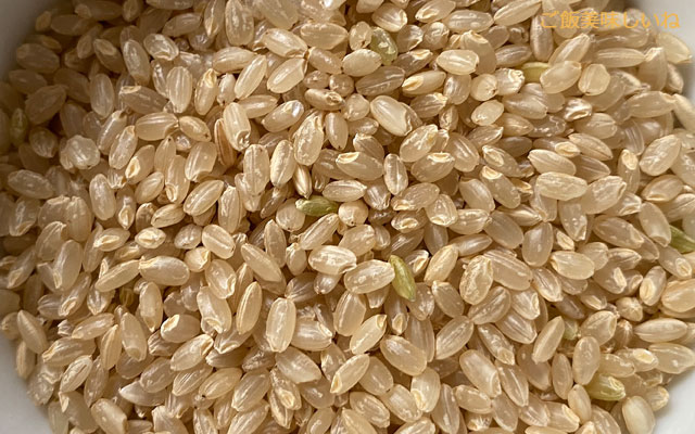 玄米の粒